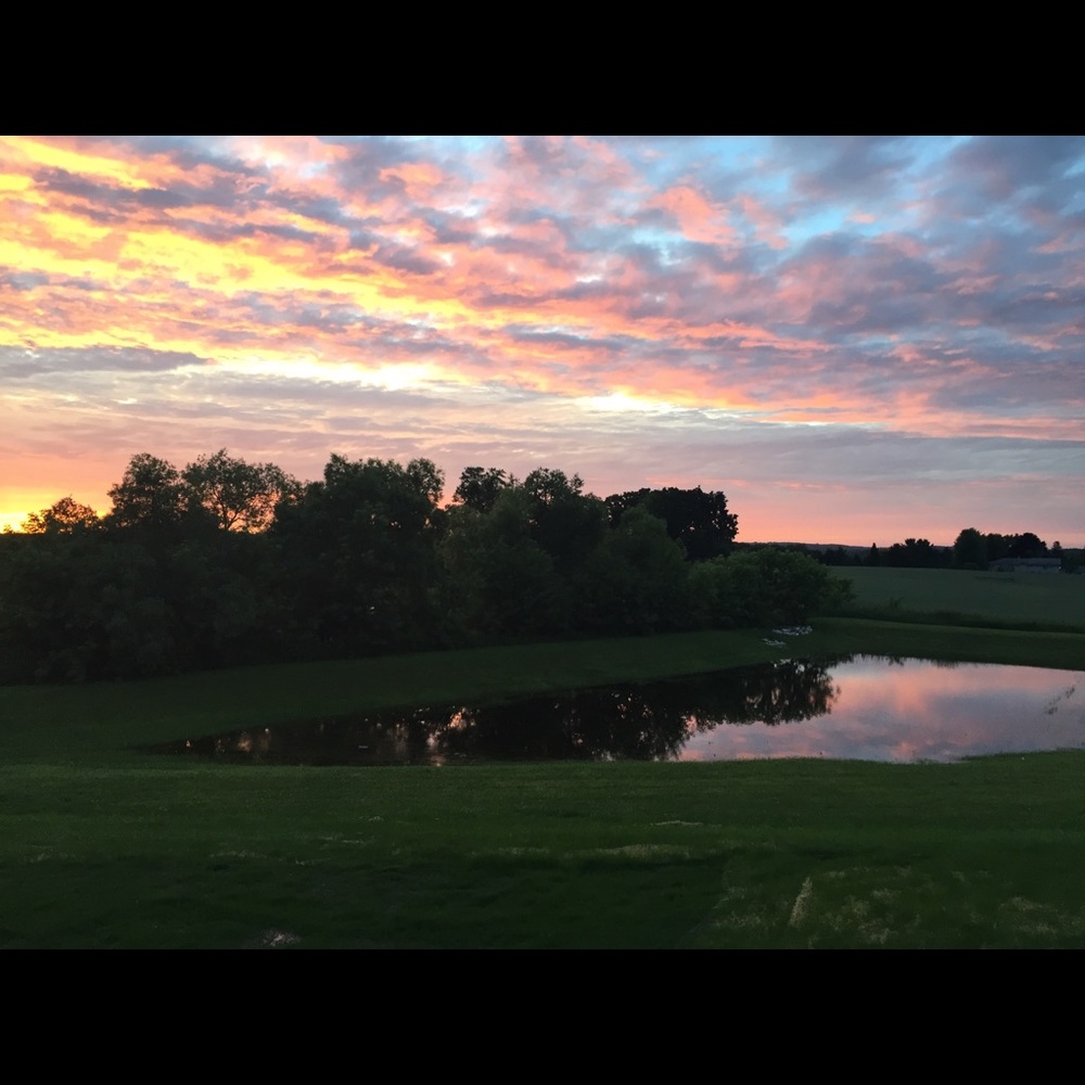 Meet your Posher, Whitney